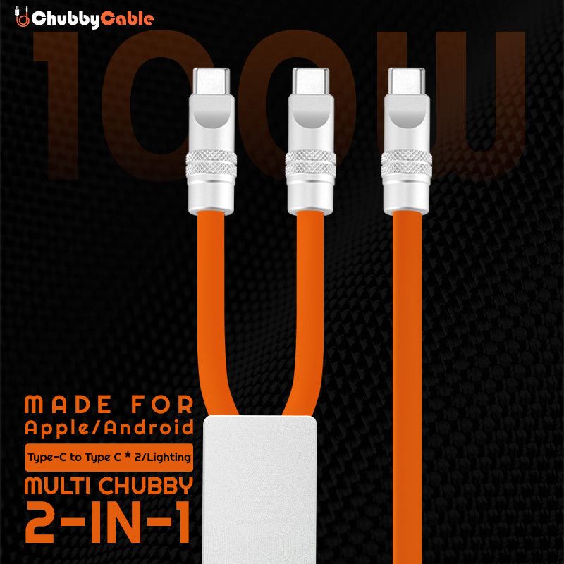 "Duo-Flex vivid" 2 IN 1 100W Charge Cable 2025.11.14