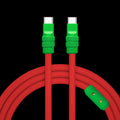 Watermelon Chubby - Specially Customized ChubbyCable